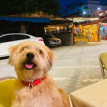 Hotel Doenmez Dalyan Εξωτερικό φωτογραφία