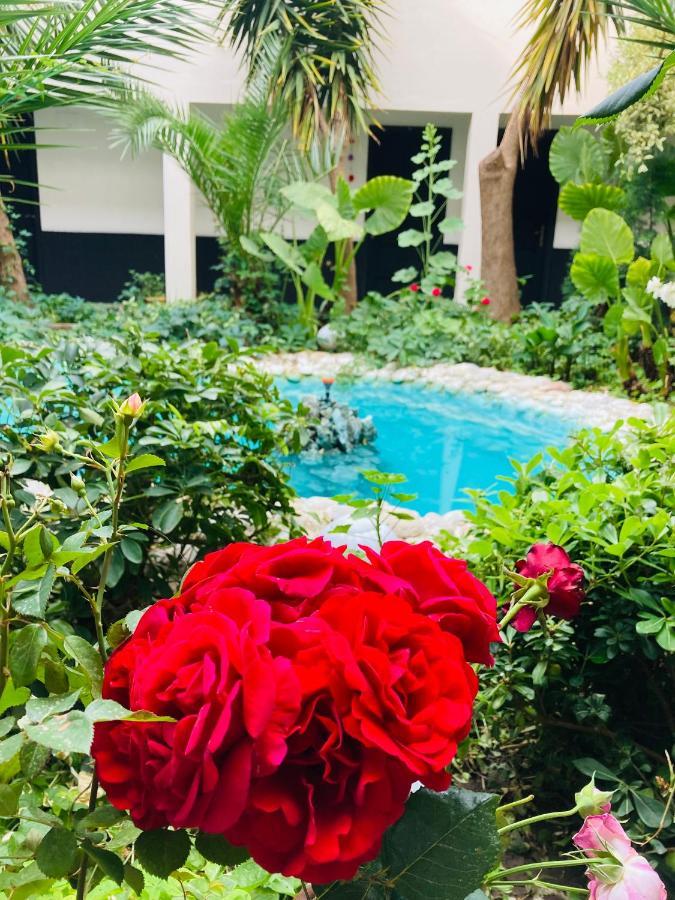 Hotel Doenmez Dalyan Εξωτερικό φωτογραφία